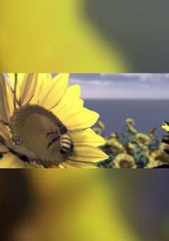 We The Economy: A Bees Invoice: The Hidden Value in Nature - fandor