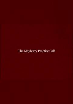 The Mayberry Practice Calf - fandor