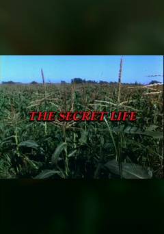 The Secret Life - Movie