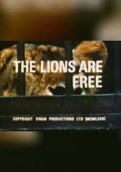 The Lions are Free - Movie