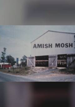 Amish Mosh - fandor