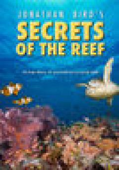 Secrets of the Reef - amazon prime