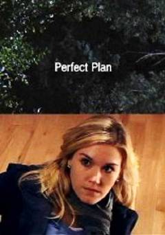 Perfect Plan - amazon prime