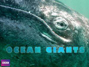 Ocean Giants - netflix