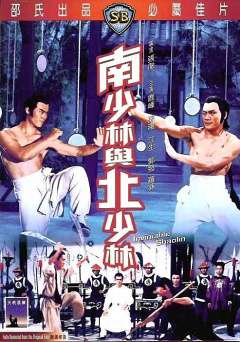 Invincible Shaolin - Movie
