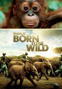 Born to Be Wild: IMAX - Movie