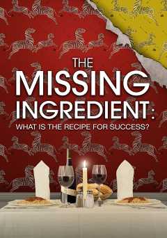 The Missing Ingredient: What Is the Recipe for Success? - Movie