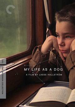 My Life as a Dog - film struck
