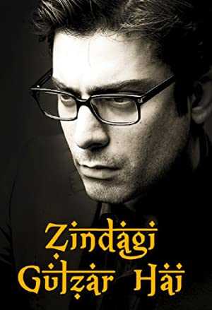 Zindagi Gulzar Hai - TV Series