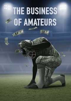 The Business of Amateurs - amazon prime