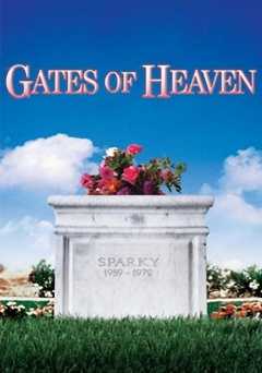 Gates of Heaven - film struck