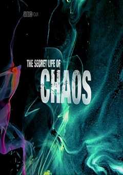 The Secret Life Of Chaos - amazon prime