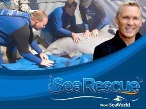 Sea Rescue - TV Series