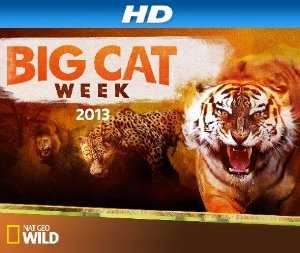 Big Cat Week - TV Series