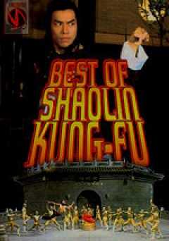 Best of Shaolin Kung Fu