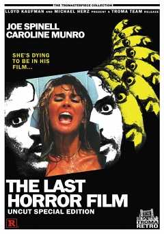 The Last Horror Film - Movie