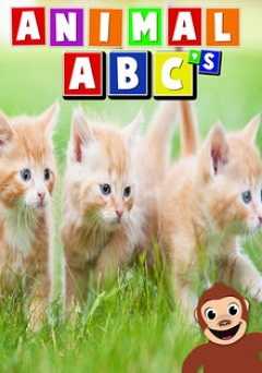 Animal ABCs - amazon prime