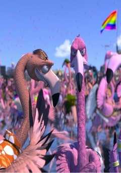 Flamingo Pride - Movie