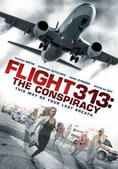 Flight 313: The Conspiracy - amazon prime
