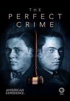 American Experience: The Perfect Crime - Movie