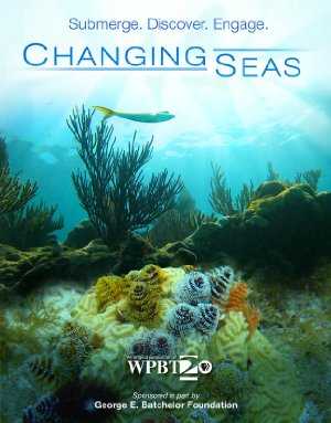 Changing Seas - netflix