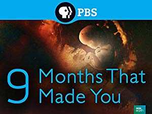 9 Months That Made You - TV Series