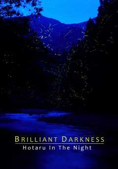 Brilliant Darkness: Hotaru in the Night - Movie