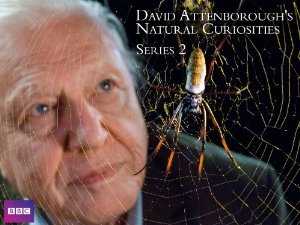David Attenboroughs Natural Curiosities - netflix