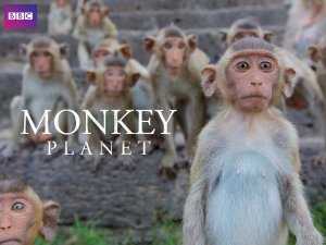 Monkey Planet - TV Series