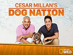 Cesar Millans Dog Nation - hulu plus