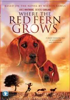 Where the Red Fern Grows - amazon prime