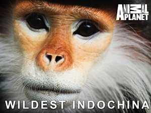 Wildest Indochina - amazon prime