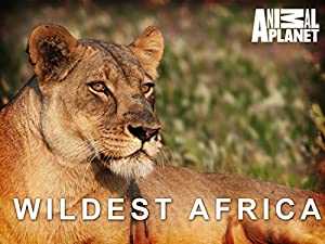 Wildest Africa - amazon prime