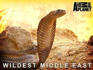 Wildest Middle East - amazon prime