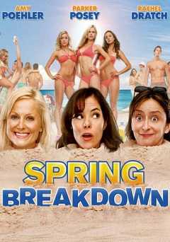 Spring Breakdown - Movie