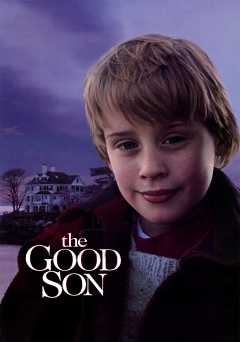 The Good Son - netflix
