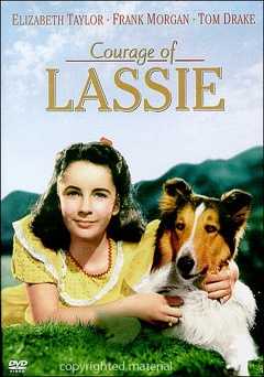 The Courage of Lassie - film struck