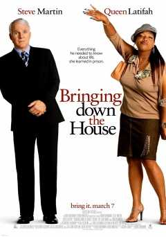 Bringing Down the House - Movie