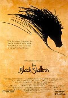 The Black Stallion - Movie