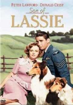 Son of Lassie - Movie