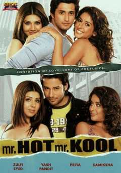 Mr. Hot Mr. Kool - Movie